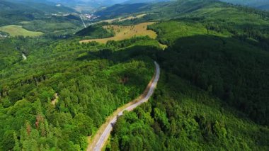 Yeşil tepelerin arasından dolambaçlı yol. Yoğun ormanların içinden geçen dolambaçlı bir yol ve berrak mavi gökyüzünün altında yuvarlanan tepeler, doğanın güzelliğini gözler önüne seriyor..