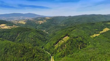 Berrak mavi gökyüzünün altındaki yemyeşil tepeler. Parlak mavi gökyüzünün altında ağaçlarla kaplı yuvarlanan yeşil tepelerden oluşan nefes kesici bir manzara..