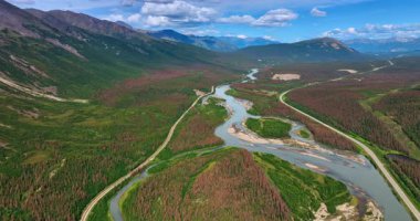 Uçsuz bucaksız vadi üzerinde uçarken, kurumuş çam ağaçları arasında dallanan bir nehir. Arkaplanda resimli dağlar. Alaska havası.
