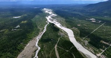 Vadiyi geçen dallı nehir çam ağaçlarıyla kaplı. Alaska, ABD 'nin doğa manzarası üzerine İHA görüntüleri.