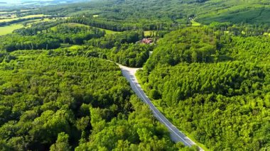 Yeşil ormanda dolambaçlı bir yol. Çevresi tepeler ve tarlalarla çevrili yeşil ormanların arasından geçen manzaralı bir yol baharda doğanın güzelliğini yakalıyor..