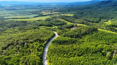 Yeşil arazide dolambaçlı yol. Dolambaçlı bir yol, açık mavi gökyüzünün altında, güneşli bir günde doğanın güzelliğini gösteren, geniş yeşil ormanları kesiyor..