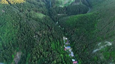 Kırsal bölgedeki görkemli orman manzarası. Bereketli yeşil ormanlar vadi boyunca uzanır, açık gökyüzünün altındaki yüksek ağaçların arasında yuva yapmış küçük evler..