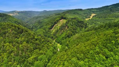 Dağ vadisi yemyeşil. Bereketli yeşil tepeler ve vadiler berrak mavi gökyüzünün altında sakin bir manzara yaratır. Manzara canlı doğayı sergiliyor.