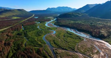 Yeşil vadinin yukarısındaki görüntüler nehirlerin dar çizgileriyle kesişiyor. Arkaplanda güzel dağlar. Alaska vahşi doğası.