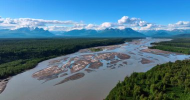 Muhteşem dağlarla çevrili büyük vadideki sığ dallanan nehre yaklaşıyoruz. İnsansız hava aracı görüntülerinden Alaska 'nın çarpıcı manzarası..