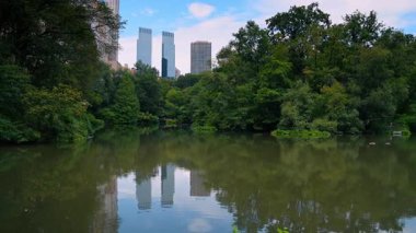 Gölet birden fazla yeşil ağaçla çevrili. Arka planda yüksek binalar ve gökdelenler var. New York, ABD.