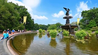 Central Park, New York 'taki güzel Bethesda Çeşmesi. İnsanlar yazın yeşil parkta dinleniyorlar..