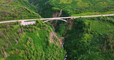 Alaska büyüleyici manzaralar. Alaska 'daki çarpıcı yeşil vadinin hava manzarasında bir köprü ve akan bir nehir doğanın özünü yakalıyor..
