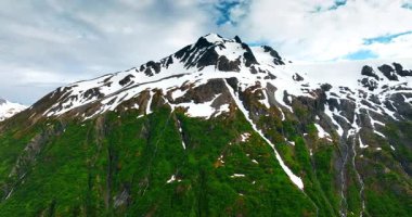 Karlı Alaska dağ manzarası. Alaska 'da yemyeşil vadiler ve çağlayan şelalelerle çevrili karla kaplı bir dağın çarpıcı manzarası..