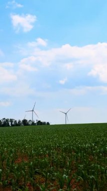 Türbinler alanlarda enerji üretir. Rüzgar türbinleri, açık mavi gökyüzünün altındaki yeşil bir tarlada, doğal bir manzarada yenilenebilir enerji sergilerler..