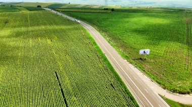 Dolambaçlı bir yolun yanındaki yemyeşil tarlalar. Geniş yeşil araziler boyunca uzanan dolambaçlı bir yol berrak bir gökyüzünün altında kırsal güzelliği ve huzuru vurguluyor..