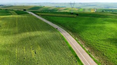 Yol yemyeşil çayırlarda kıvrılıyor. Araçlar, açık mavi gökyüzünün altında geniş yeşil alanlarla çevrili kavisli bir yol boyunca seyahat ederler..