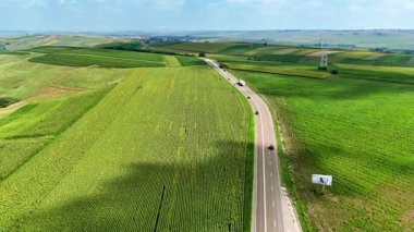 Yol kenarındaki yeşil tarlalar. Uçsuz bucaksız yeşil tarlalar asfalt bir yolun kenarına uzanır. Parlak bir gökyüzünün altında tarlalar ve uzak tepeler sergilenir..