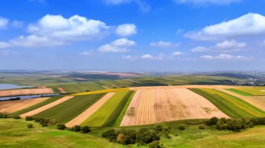 Parlak mavi gökyüzünün altında geniş alanlar. Bereketli yeşil ve altın tarlalar arazi boyunca uzanır, parlak güneş ışığıyla yıkanır ve bulutlarla noktalanır..