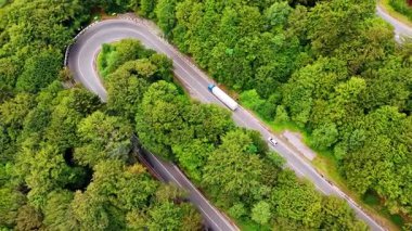 Yeşil ormanda virajlı bir yol. Bir kamyon ve bir araba, yoğun ağaçlarla çevrili kıvrımlı bir yolda gün boyunca dolaşır..