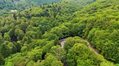 Dolambaçlı yol manzaralı yemyeşil orman. Bulutlu bir günde, dolambaçlı bir yolu çevreleyen yoğun bir ormanın hava manzarası canlı yeşillik ve doğa sergiliyor..
