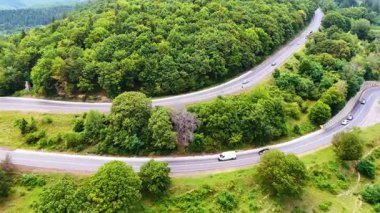 Yemyeşil tepelerden geçen dolambaçlı bir yol. Yoğun yeşillik boyunca kıvrımlı otoban yılanları, doğada güneşli bir günde seyahat eden araçları gösteriyor..