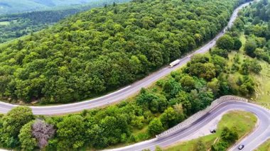 Yeşil ormanda dolambaçlı bir yol. Yoğun bir ormanda, gün ışığında kıvrımlı bir yol yılanları, bereketli ağaçlar ve sakin bir atmosfer sergiliyor..