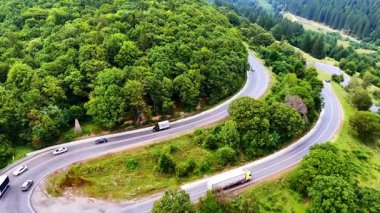 Güneşli ormanda virajlı bir yol. Arabalar, güneşli bir günde yemyeşil ağaçlarla çevrili dolambaçlı bir yolda yol alırlar. Doğanın güzelliğini vurgularlar..