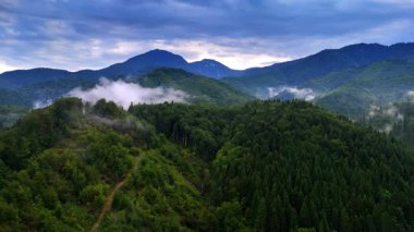 Alacakaranlıkta yeşil tepeler, bulutlu gökyüzü. Karanlık çöktüğünde ağaçların tepelerinden süzülen buğulanmış yoğun yeşilliklerle kaplı engebeli tepeler bulutlu..