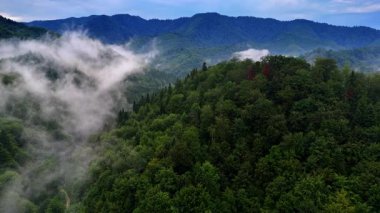 Sabah sisi ile kaplanmış yemyeşil dağlar. Bulutlu bir gökyüzünün altında yükselen yeşil dağlar, sabahın erken saatlerinde dönen sisle kaplanır..