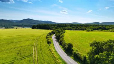 Dolambaçlı tarlalardan geçerek. Siyah bir araba, yemyeşil tarlalar ve güneşli bir günde uzak dağlarla çevrili dolambaçlı bir yolda ilerliyor..