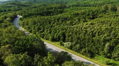 Yeşil ormanda dolambaçlı bir yol. Manzaralı bir yol canlı yeşil bir ormanda kıvrılır, parlak gün ışığında ağaçları ve doğayı gösterir..