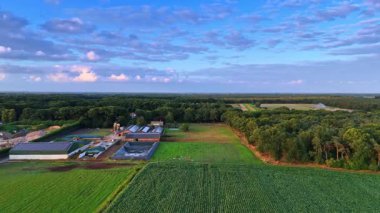 Ahırları ve güneş panelleri olan Hollanda tarım arazileri. Hollanda 'da ahır ve yeşil tarlaları olan tarım arazilerinin havadan görünüşü.