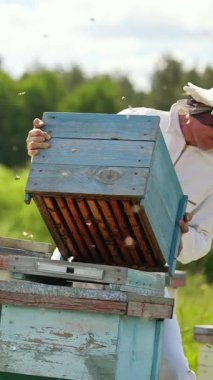 Balpetekleriyle çalışan yakışıklı arı yetiştiricisi. Üniformalı genç arı işçisi. Dikey video