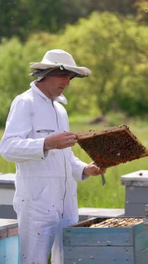 Tarımsal yaz organik arı kovanları. Arı kovanında çalışan üniformalı bir adam. Dikey video