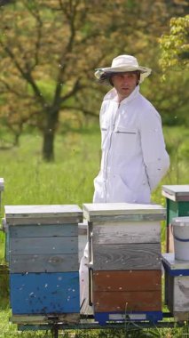 Arı kovanında çalışan üniformalı bir adam. Tarımsal yaz organik arı kovanları. Dikey video