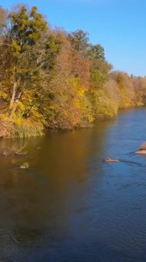 Güzel sonbahar nehir drone manzarası. Turuncu renkler hava manzarası. Dikey video