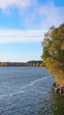 Nehir manzarası, hava manzarası. Doğal sonbahar drone manzarası. Dikey video