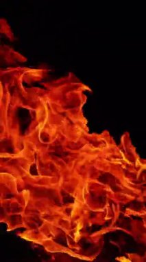 Rüzgardan yana uzanan uzun bir şenlik ateşi. Siyah arka planda izole edilmiş kamp ateşi. Dikey video