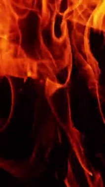 Odunların üzerinde kızgın bir alev. Geceleri yanan kamp ateşine yakından bakın. Dikey video