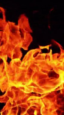 Şenlik ateşinin kızgın kırmızı alevi. Siyah arka plandaki şenlik ateşinin üst kısmı izole edilmiş. Kapatın. Dikey video