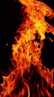 Gece büyük bir kamp ateşi yanıyor. Siyah arka planda izole edilmiş şenlik ateşi. Uzun alev yükseğe doğru yükseliyor. Dikey video