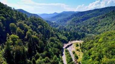 Bir dağ deresi boyunca kıvrımlı bir yol. Romanya 'daki ormanlık vadiden geçen bir nehri izleyen dolambaçlı bir yolun havadan perspektifi