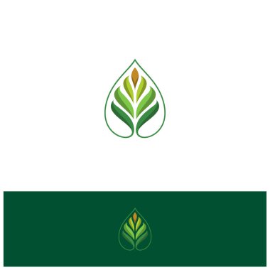 Yaprak logosu şeklindeki damlacık taşıyıcı bitki eko yeşil sembol şablonu. Vektör illüstrasyonu