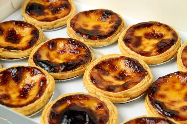 stock image Photo of freshly baked egg tarts.