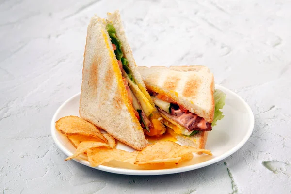 Photo of freshly made ham and cheese sandwich served with potato chips.