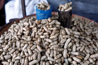 Kabuklu taze pişmiş fıstık fotoğrafı..