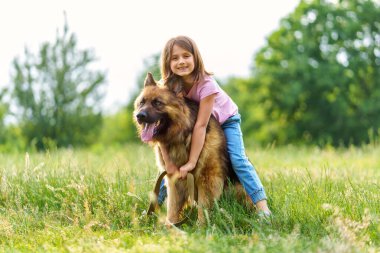 Gülümseyen küçük kız, bir yaz parkında sırt üstü otururken çoban köpeğine sarılıyor. Yüksek kalite fotoğraf