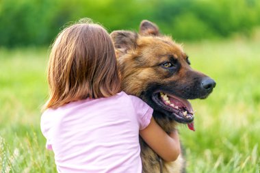 Küçük bir kız, bir yaz parkında çimde sırtı kameraya dönükken çoban köpeğine sarılıyor. Yüksek kalite fotoğraf