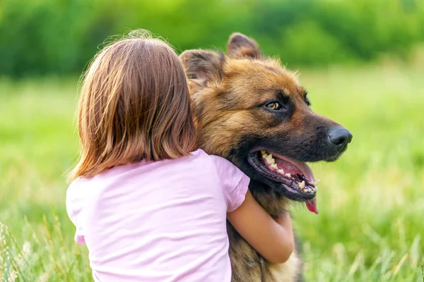 Маленькая Девочка Обнимает Пастушью Собаку Сидя Траве Спиной Камере Летнем — стоковое фото