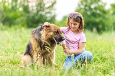 Yazın parkta çimlerin üzerinde otururken çoban köpeğini dondurmayla besleyen tatlı küçük kız. Yüksek kaliteli fotoğraf, bulanık arkaplan