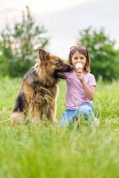 Menina Bonito Comer Sorvete Abraçando Cão Pastor Sentado Grama Parque — Fotografia de Stock