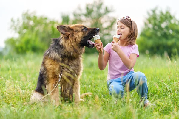 Menina Bonito Comer Sorvete Alimentá Para Seu Cão Pastor Sentado — Fotografia de Stock