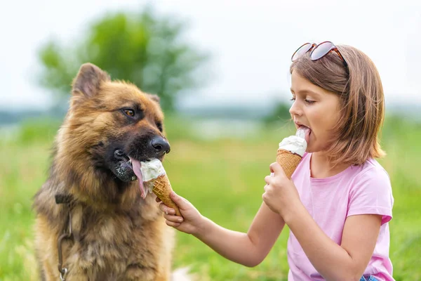 Menina Bonito Comer Sorvete Alimentá Para Seu Cão Pastor Sentado — Fotografia de Stock